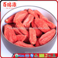 Gute Qualität goji Beere Drachekräuter verbessern immune Funktion goji Beere Diät getrocknete Frucht